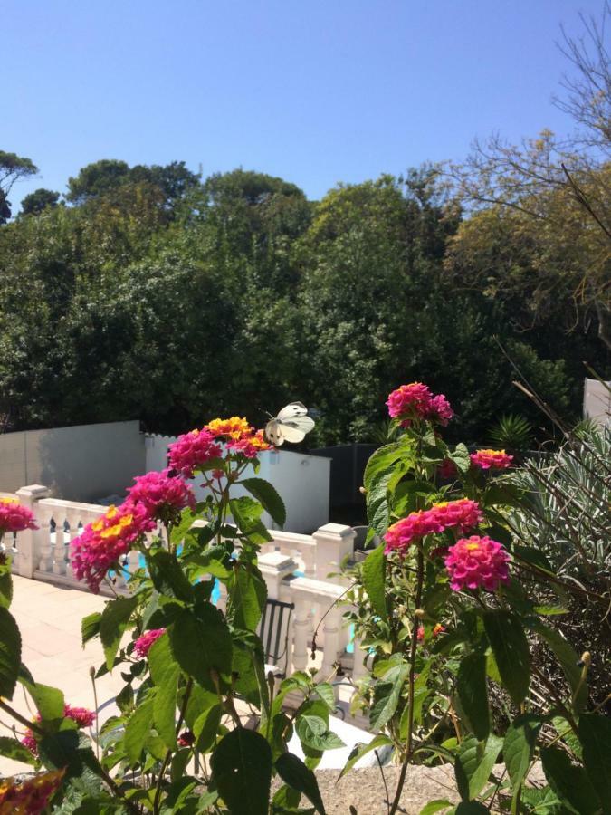 La Maisonnette du Clos La Roquette-sur-Siagne Extérieur photo
